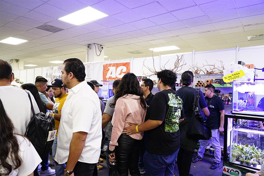 img1