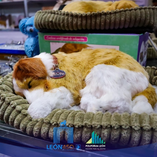 El Congreso Veterinario de León 2026: Referente Mundial con 